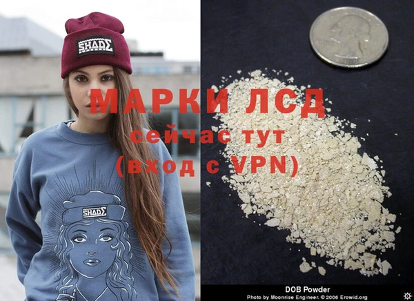 jwh Аркадак