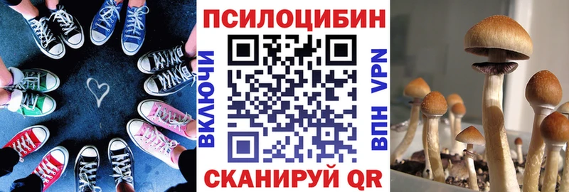 закладка  Бийск  Галлюциногенные грибы мицелий 